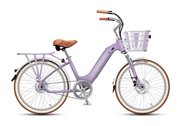 Electric Bike Company Model R